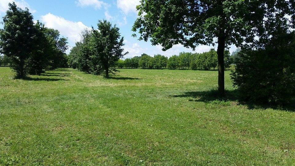 La Scacchiera Farm stay Padova